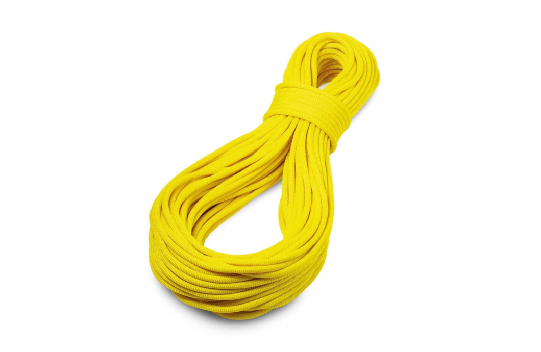 Dynamic Rope Tendon Ambition 9,8 mm